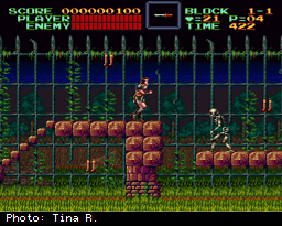 Screenshot from Super Castlevania IV